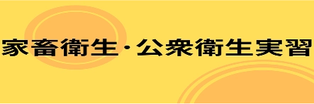 EISEI 家畜衛生・公衆衛生獣医師インターンシップ